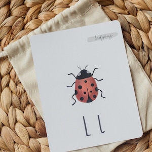 Puede incluir: Una tarjeta blanca con una ilustraci&oacute;n de mariquita roja y negra y las letras "LL" impresas debajo. La tarjeta tiene la palabra "ladybug" escrita en gris en la parte superior.