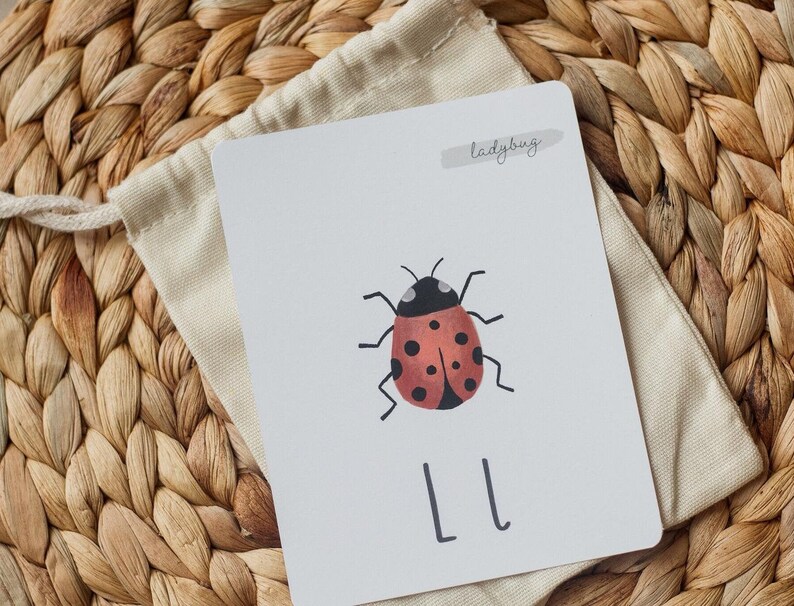 Puede incluir: Una tarjeta blanca con una ilustraci&oacute;n de mariquita roja y negra y las letras "LL" impresas debajo. La tarjeta tiene la palabra "ladybug" escrita en gris en la parte superior.
