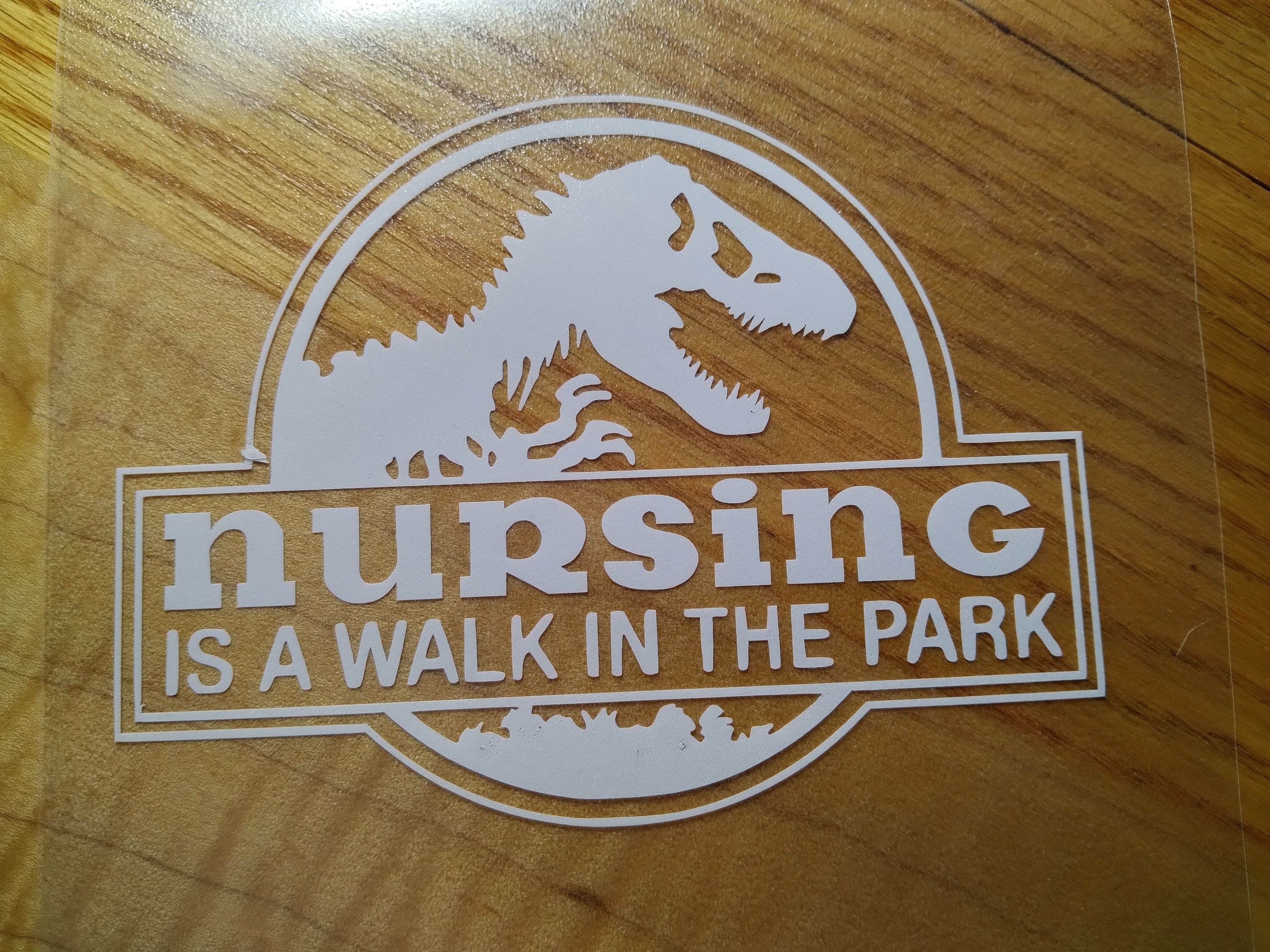 Nurse gift, Car Decal, Nursing is a walk in the PARK! RN, Jurassic park,