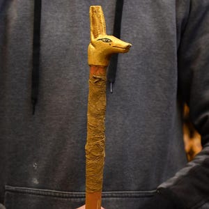 May include: A wooden walking stick with a gold-colored Anubis head. The staff is wrapped in tan-colored material and has a brown wooden shaft. The Anubis head features detailed carvings and a painted eye.