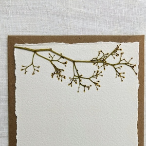 Ensemble de cartes de correspondance Graceful Pepper Tree | Ensemble de papeterie cartes vierges avec enveloppes
