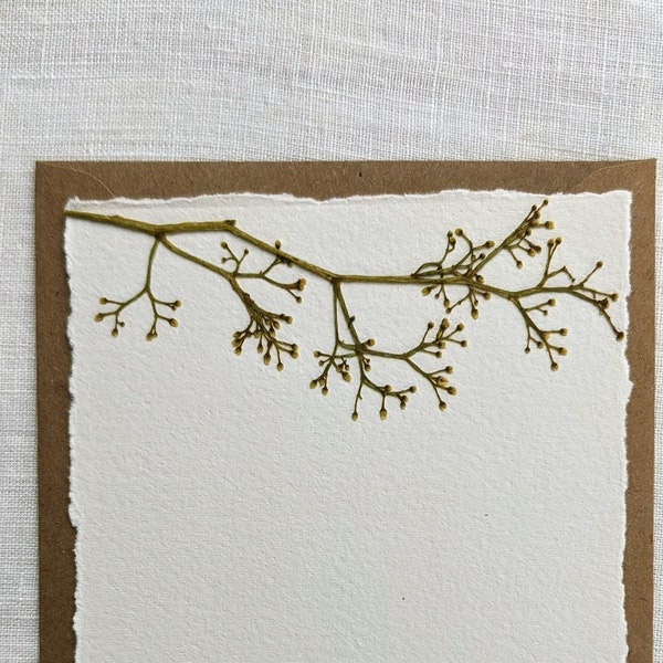 Graceful Pepper Tree Stationery Set of Notecards | Blank Cards with Envelopes Stationary Set