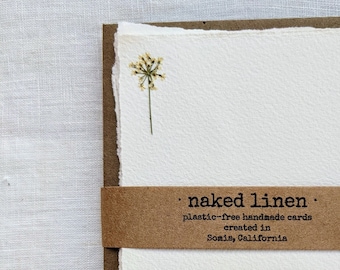 Pressed Flower Note Card Set: "Dandelion" on Hand Torn Paper
