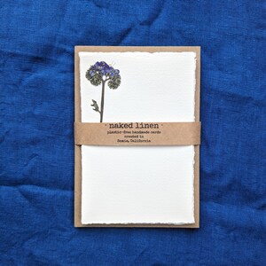 Suscripción mensual de flores prensadas y vegetación. Juego de papelería con tarjetas de notas y sobres.
