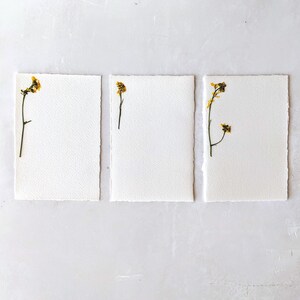 Papeterie avec fleurs pressées jaune soleil avec enveloppes ~ Cartes de correspondance ~ Cartes vierges