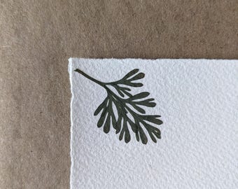 Lacy California Poppy Leaves Stationery Set of Notecards  with Envelopes | Pressed Flower Art Cards