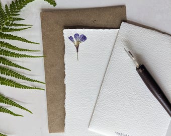 Set di minuscoli biglietti con fiori pressati viola, vera cancelleria botanica con buste, pagine bianche per appunti con fiori selvatici, fatto a mano in stile cottagecore