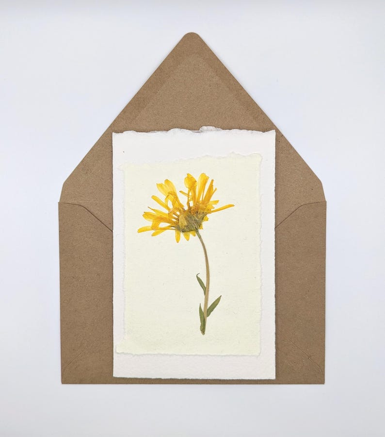 Pressed Flower Stationery Set - Variety Pack Handmade Floral Blank Note ...