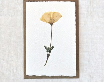 Papeterie pavot de Californie | Fleurs pressées sur papier aquarelle