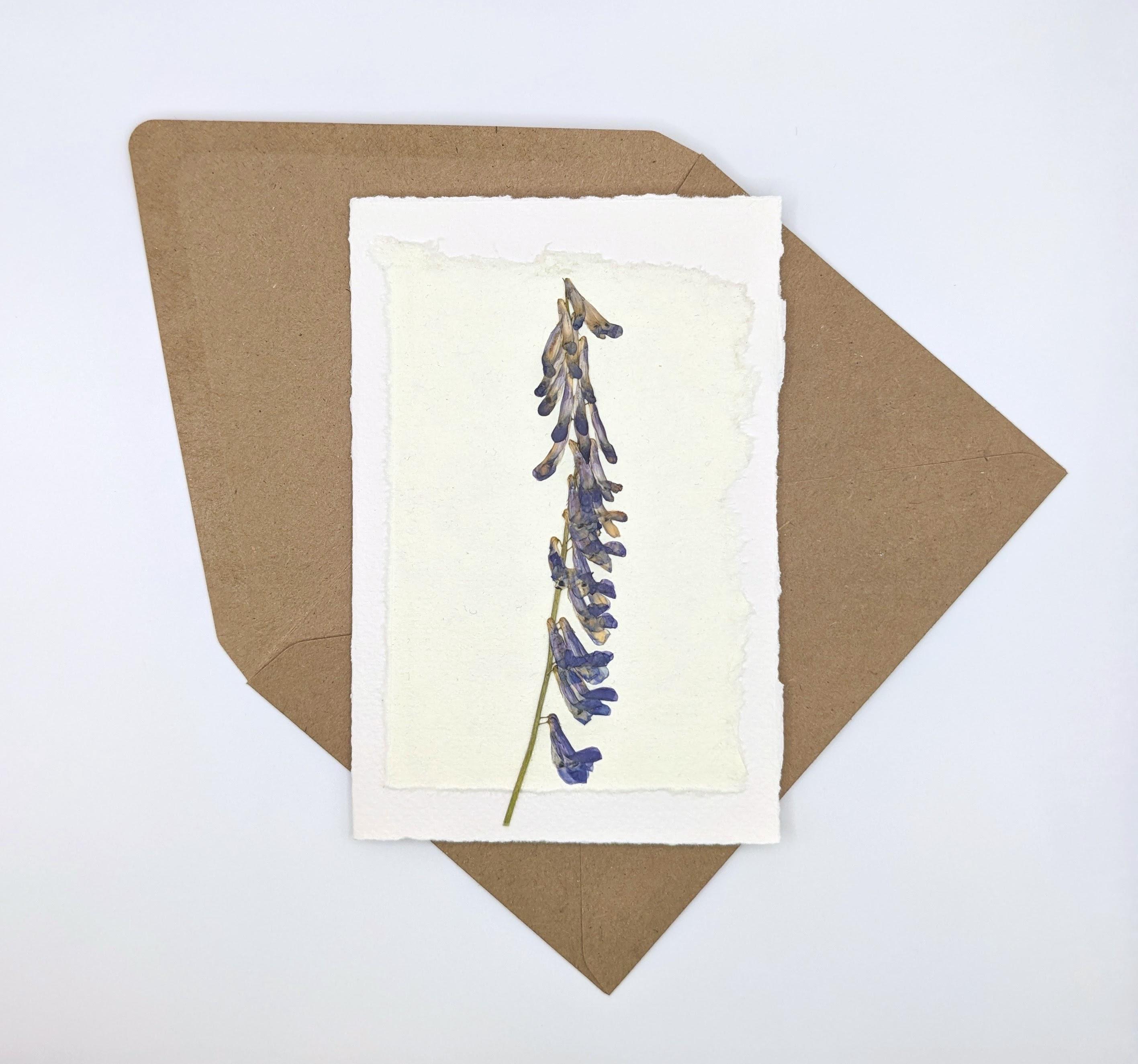 Pressed Flower Stationery Set - Variety Pack Handmade Floral Blank Note ...