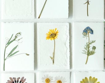 Pressed Flower Stationery Set - Variety Pack Handmade Floral Blank Note Cards - Unique Gift for Her, Botanical Greeting Cards w/ Envelopes