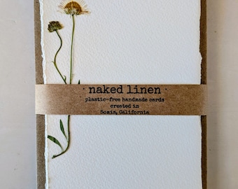 Santa Barbara Daisy Pressed Flower Cards Set, Real Botanical Stationery with Envelopes, Blank White Blossom Note Pages, Handmade Floral Art
