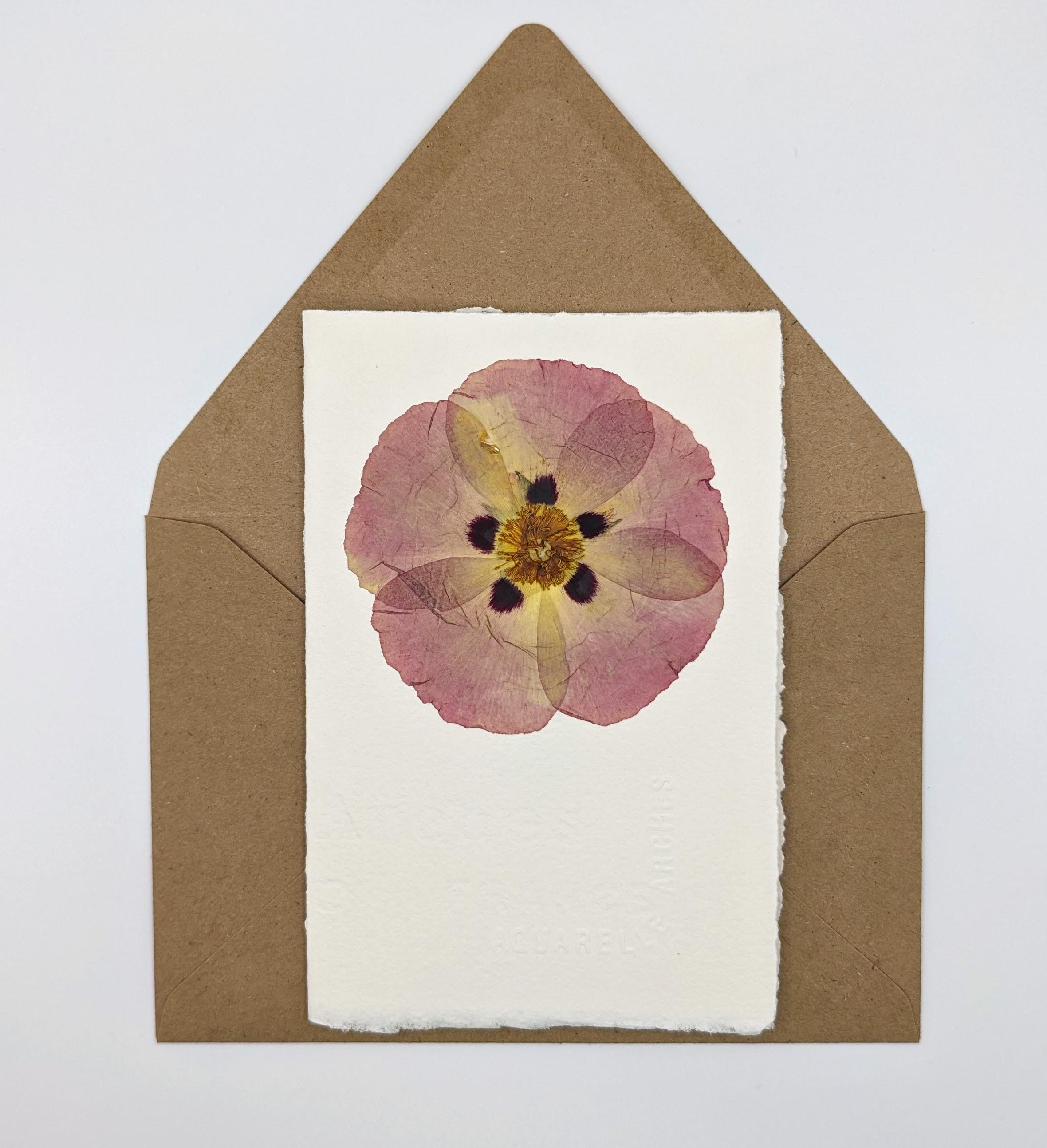 Pressed Flowers Stationery Set Variety Pack of Blank Folded Floral
