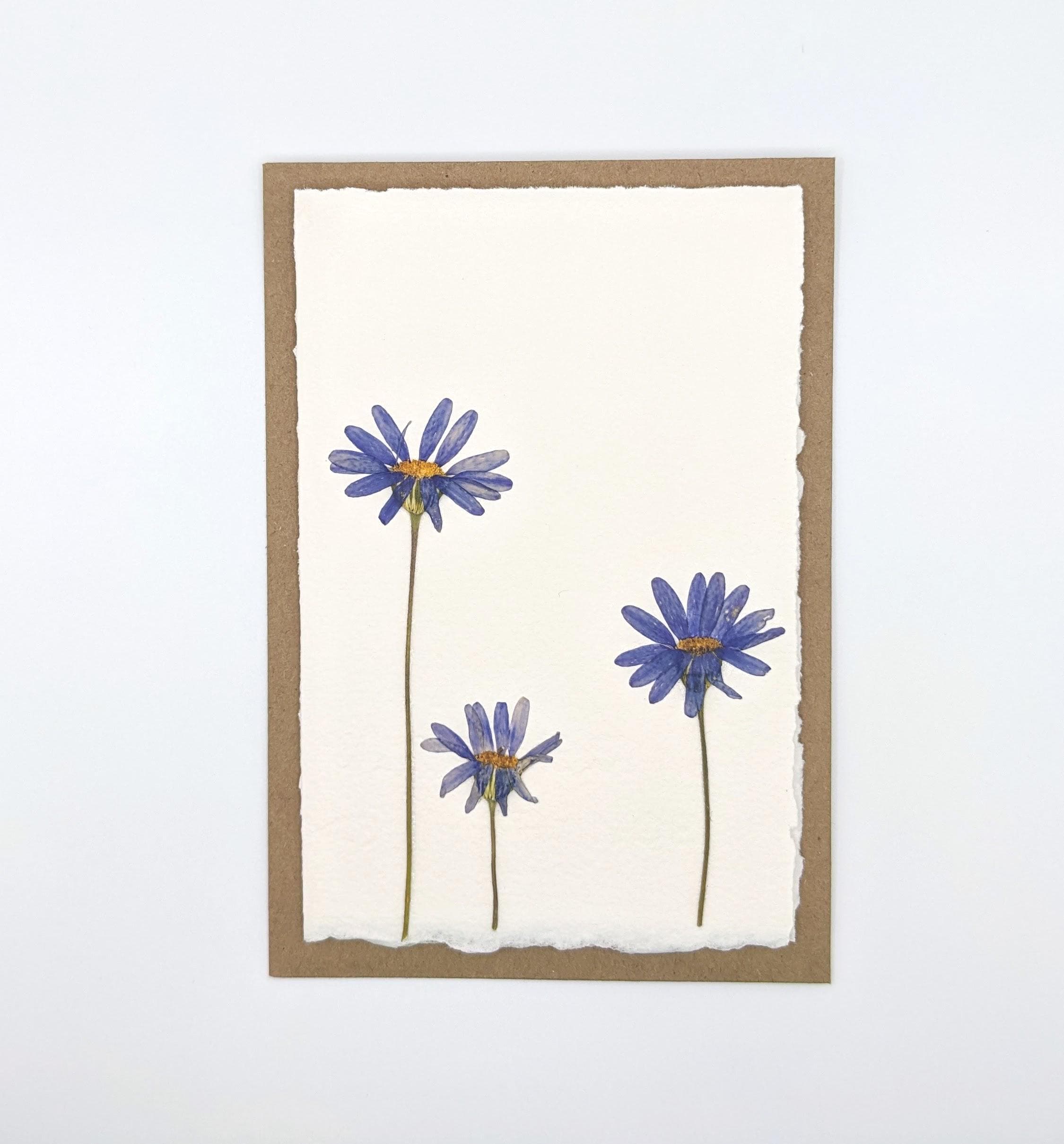 Pressed Flower Stationery Set - Variety Pack Handmade Floral Blank Note ...