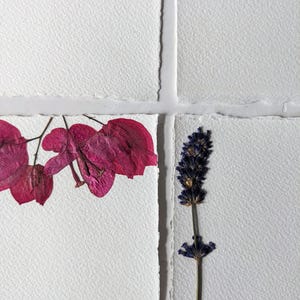 Botanical Note Cards | Pressed Flowers and Greenery Stationary Set with Envelopes