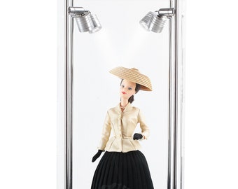 LED Lighted Display Case