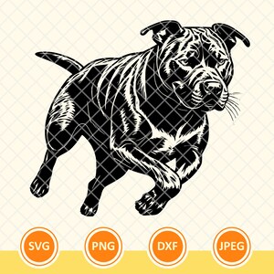 Executando Pitbull Svg, Pitbull Stencil Svg, Pitbull Vector, Pitbull Dog Decal, Pitbull Mama, Pitbull Papa. Arquivo de corte Cricut, Png, Dxf.