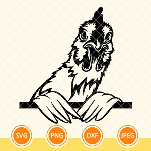 Poulet Portrait Svg, poulet pochoir Svg, poulet Tshirt Svg, Svg animaux de ferme, ferme, Ranch. Couper le fichier vecteur Cricut, Png, Dxf.