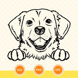Portret Golden Retriever Svg, Rysunek Golden Retriever Svg, Zwierzę domowe Svg, Prezent dla mamy psa, Prezent dla miłośników zwierząt. Plik Cricut Cut, Png, Dxf.