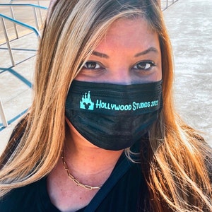 Disposable DISNEY MASKS, Vacations disposable masks, Customizable face mask, Disney castle mask, Choice of adult and kid size