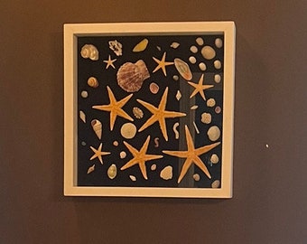 Può includere: Una scatola ombra incorniciata di bianco con uno sfondo nero riempita di varie conchiglie e stelle marine. Le conchiglie sono in tonalità di bianco, marrone e beige. Le stelle marine sono di colore marrone chiaro.