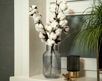 Echter Baumwollzweig 3 Stück mit je 10 Köpfen, getrocknete Baumwolle Zweig weiß Baumwolle Deko für Vasen, Dried Flowers Cotton