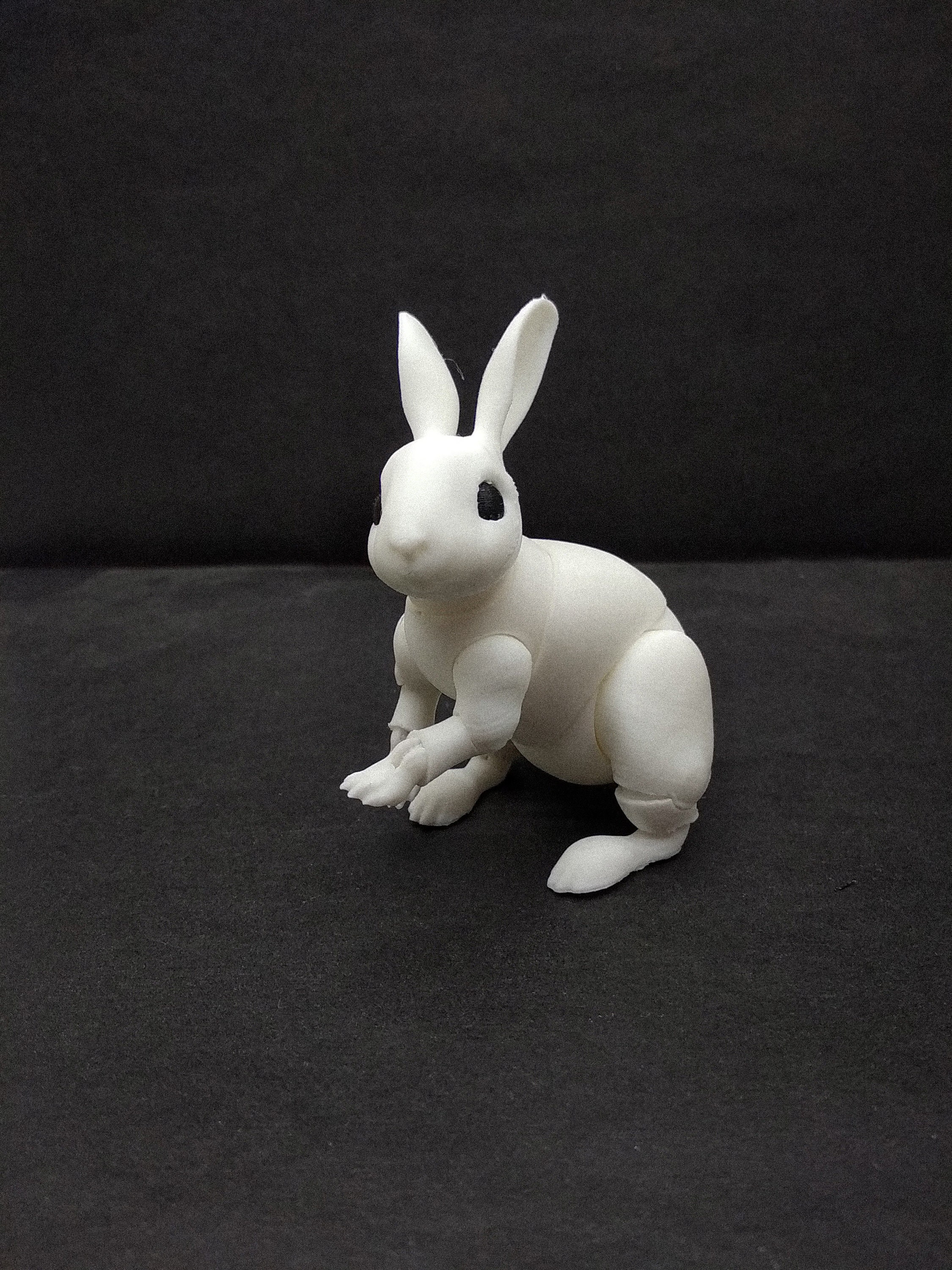 BJD Rabbit Bunny Articulated doll Etsy