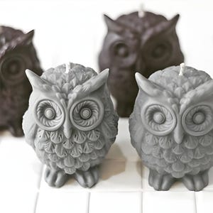 May include: Four owl-shaped candles, two gray and two dark gray. The candles are detailed with feathers and have large, round eyes.