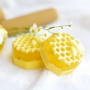 3D Bee on Honeycomb Silicone Mold- 1 cavities - bee mold silicone molds plaster mold Ice mold chocolate mold insect mold bee candle mold