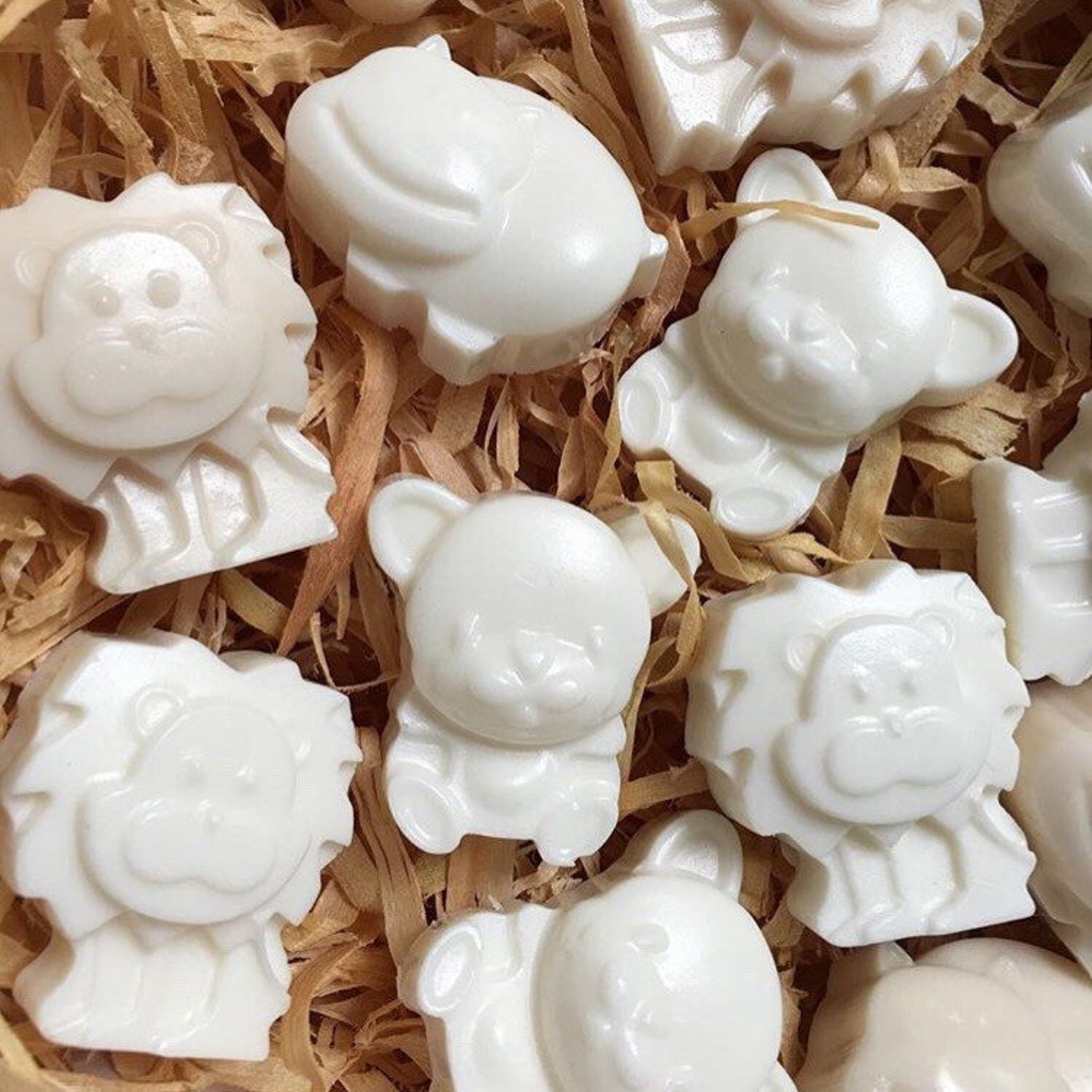 Animals Silicone Soap Mold 6 Cavities Animals Soap Mold Etsy