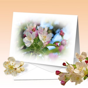 Grußkarte, Apfelblüte, Kunstdruck, digitales Aquarell