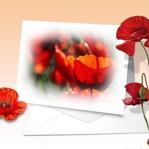 Poppies and cornflowers, greeting cards, art print, digital watercolor