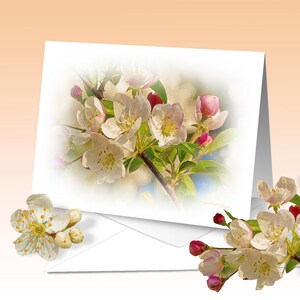 グリーティングカード リンゴの花、誕生日、ギフト、アートプリント、デジタル水彩画