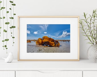 Plage de la mer du Nord, algues au soleil, île au large de Helgoland-Düne, photographie, décoration murale, affiche 20 x 30 cm,