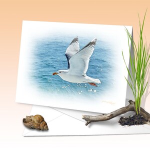Biglietto d'auguri, gabbiano, stampa artistica, acquerello digitale, vento, piume, isola, Mare del Nord, Mar Baltico, Mare di Wadden, marittimo