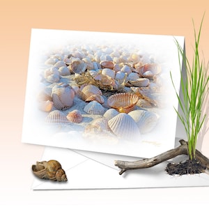 Tarjeta de felicitación, conchas en la playa, impresión de arte, acuarela digital, viento, isla, Mar del Norte, Mar Báltico, Mar de Wadden, marítimo, dunas,