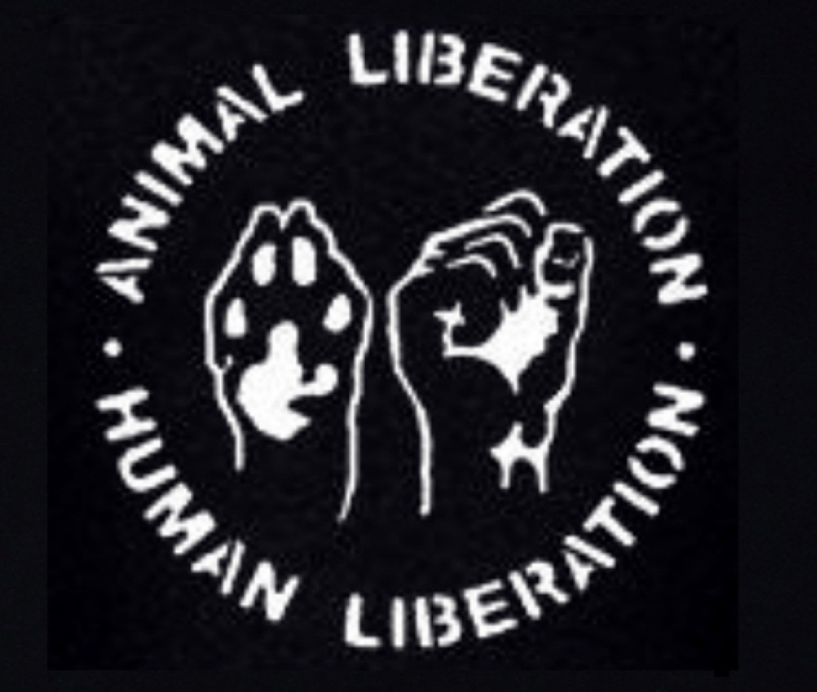 Animal Liberation/human Liberation T-shirt - Etsy