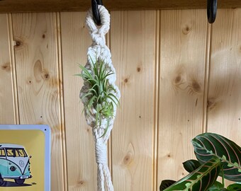 Air Plant Holder / Mini Plant Hanger / Macrame Hanging / Air Plant not Included