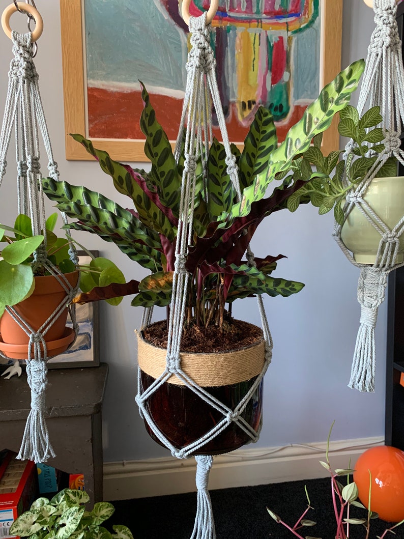 Large Macrame Plant Hanger / Plant Holder / Hanging Planter / Etsy