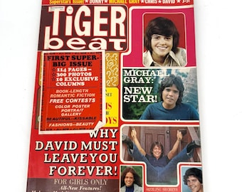 Vintage Rare 1972 Tiger Beat Teen Magazine First Super Big Issue