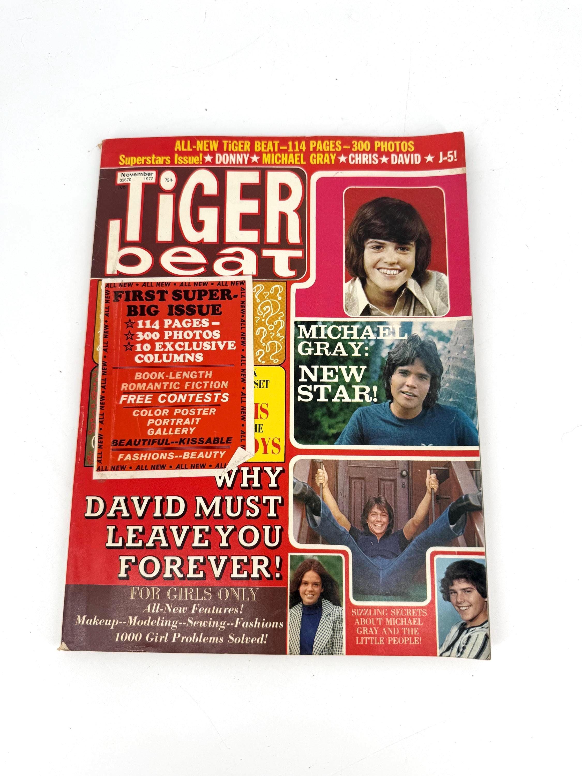 Vintage Teen Beat Magazine - Etsy