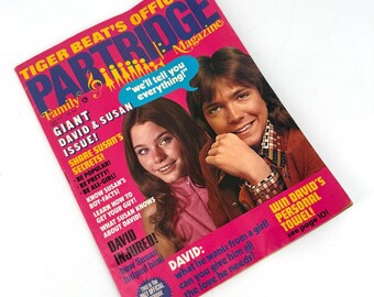 Vintage Tiger Beat Partridge Family Magazine June 1972 Issue David Cassidy Susan Dey