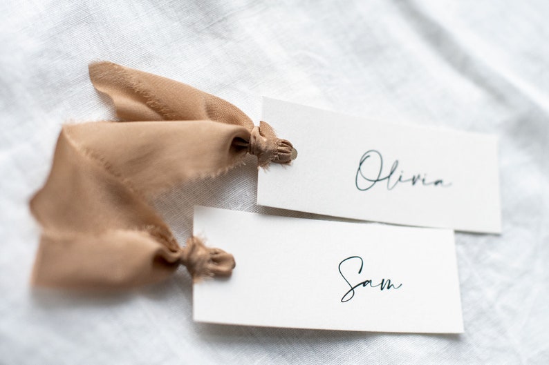 Modern mocha silk ribbon place card image 2