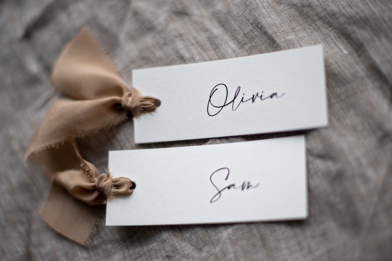 Modern mocha silk ribbon place card image 3