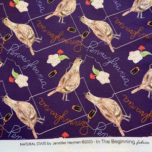 Pennsylvania State cotton quilt Fabric, In the beginning choice of size
