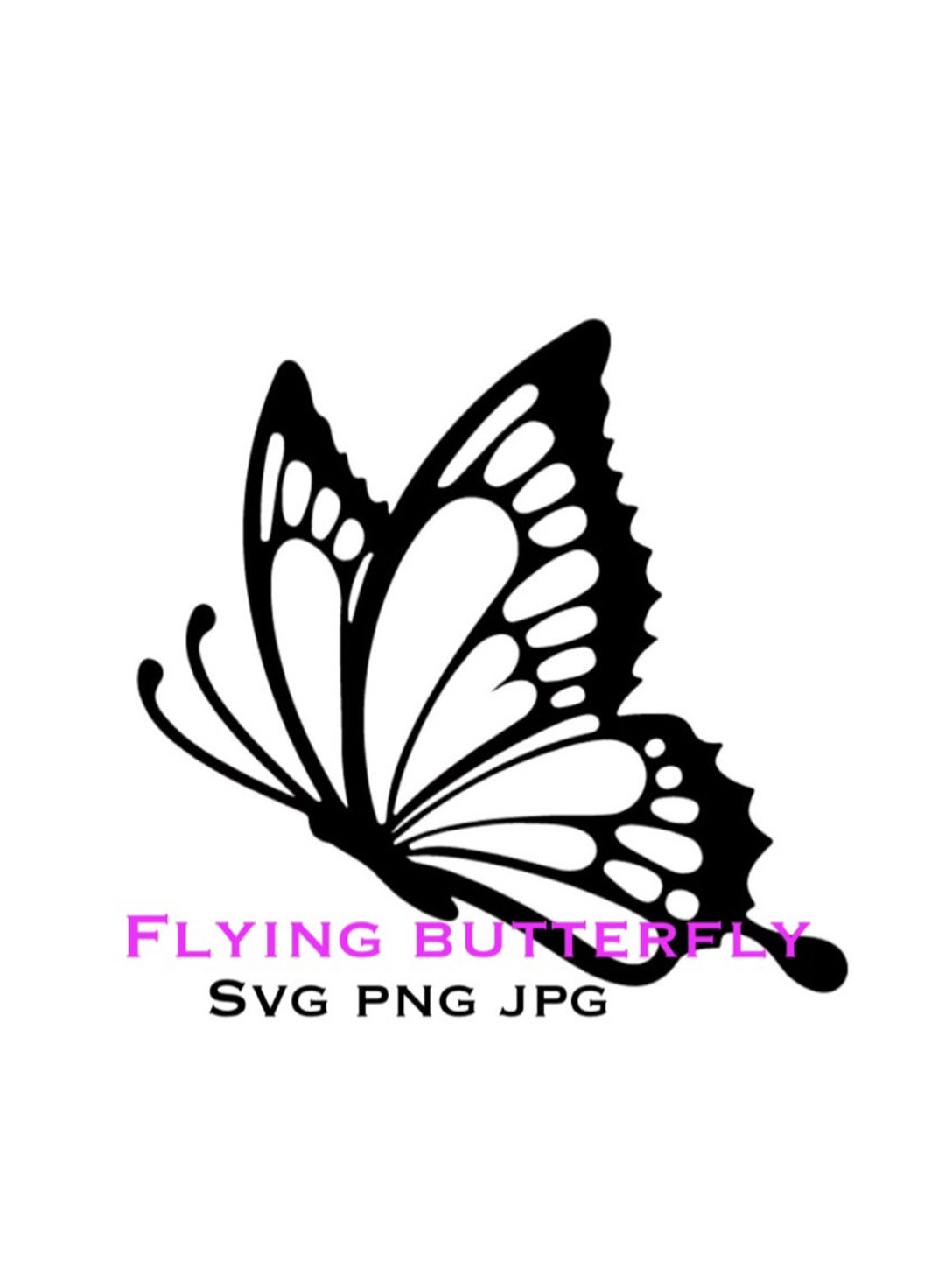 Flying Elegant Black & White Butterfly SVG PNG JPG, Silhouette, Cricut
