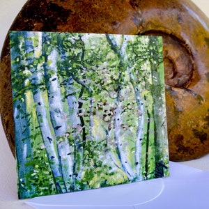 Blanco kaart met envelop, espen, Estes Park Colorado, landschapsschilderkunst, bos, bomen, groene natuur, wenskaart voor alle gelegenheden