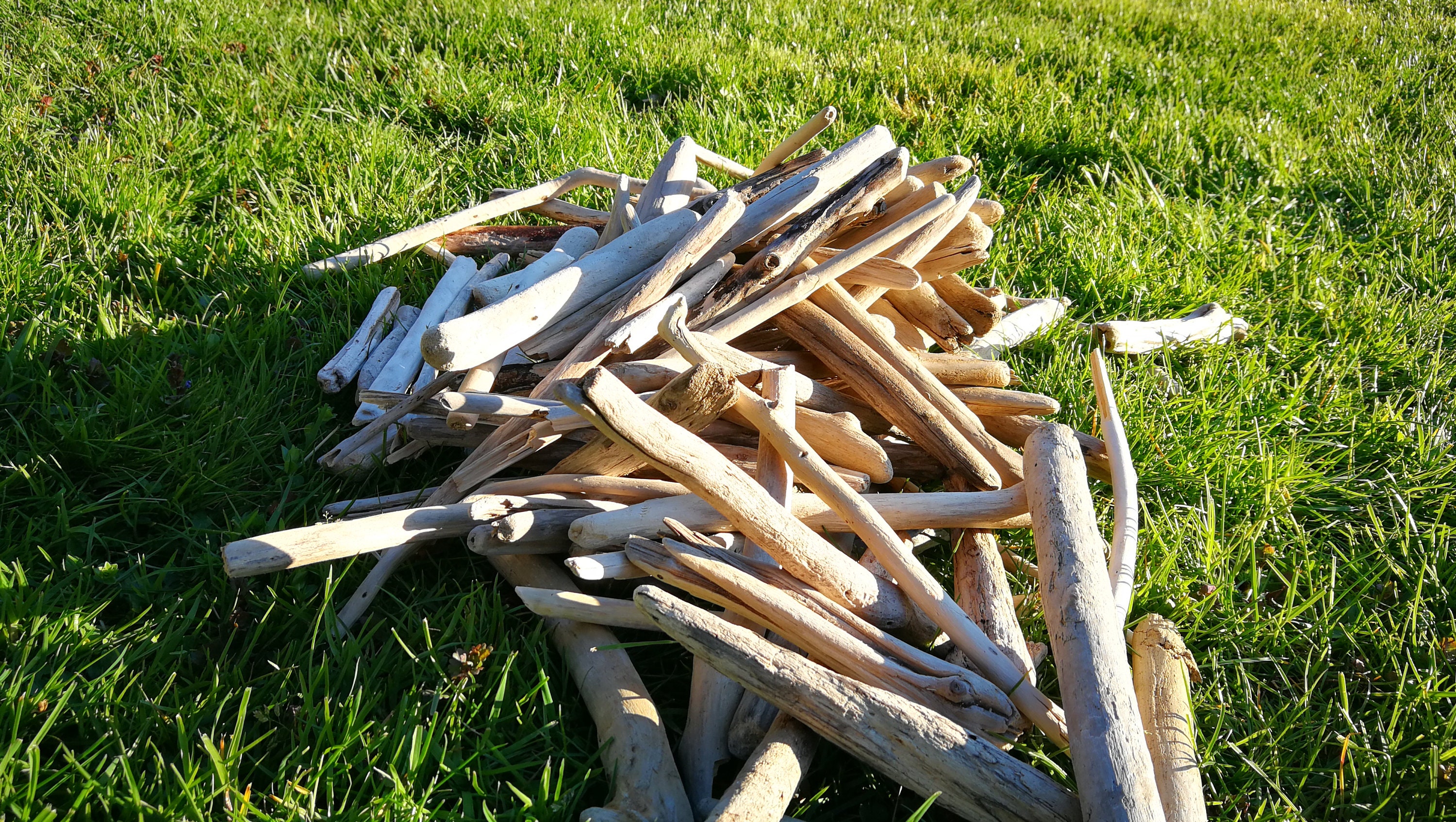 3040 Driftwood Pieces for Crafting Etsy