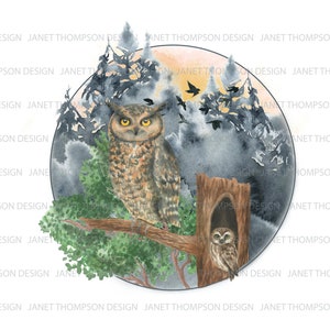 Hiboux en montagne, Hiboux dans la nature PNG, Clipart de hibou, Clipart d’oiseaux sauvages, Clipart d’oiseaux, PNG, Téléchargement numérique