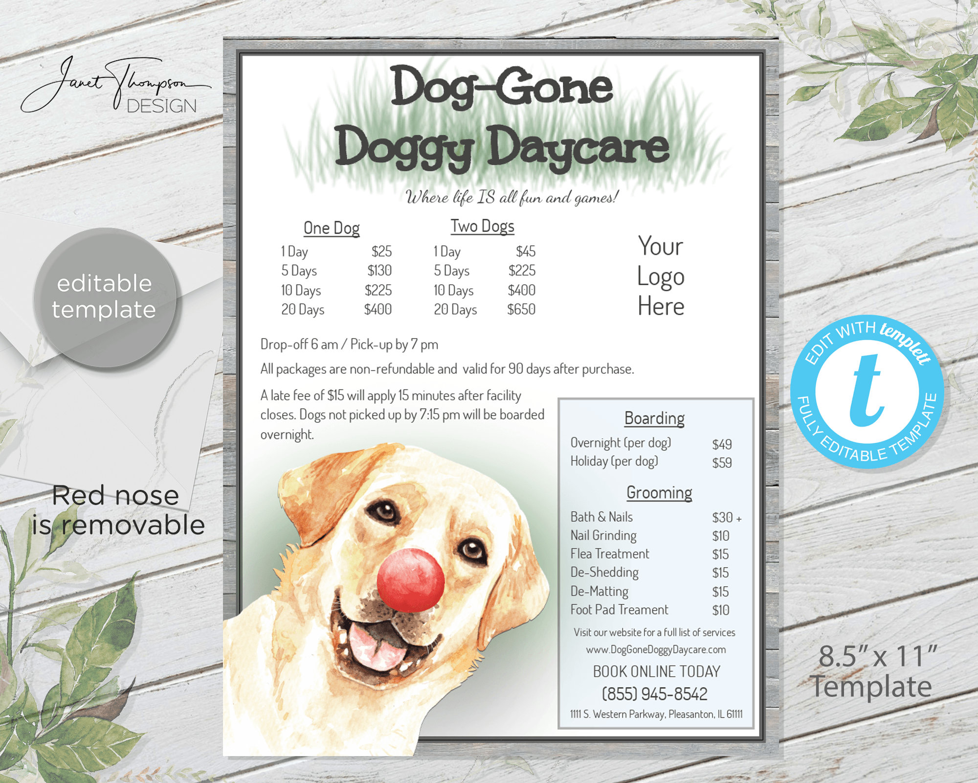 Dog day care cheap services near me